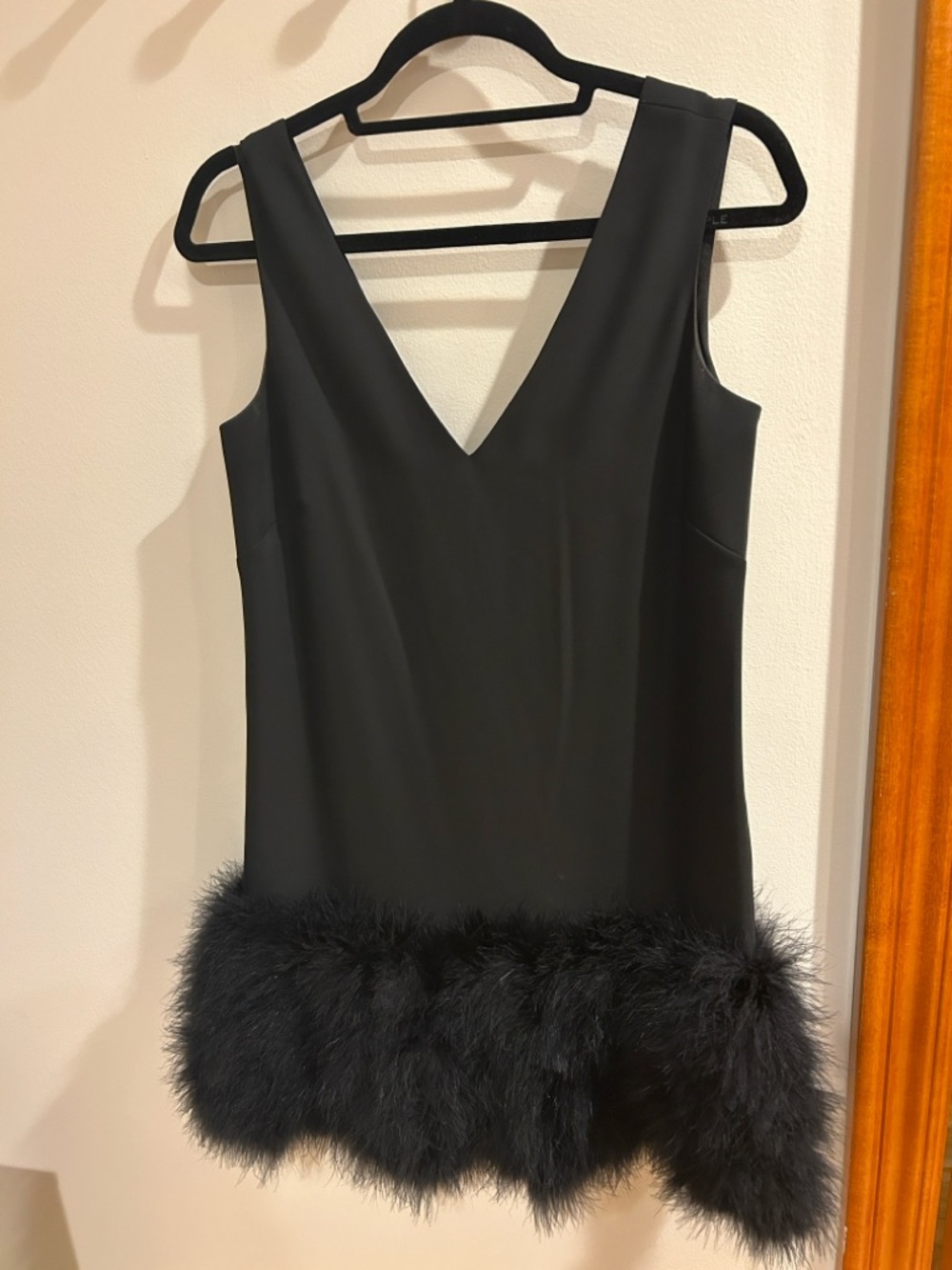 BCBGMaxAzria Black V-Neck Feather-Hem Mini Dress